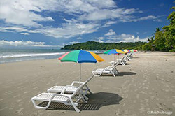 lounge chairs on a tropical beach