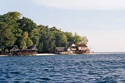 view of a tropical beach resort from the water