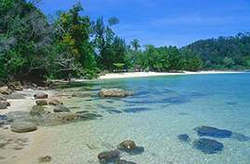 view of a tropical beach